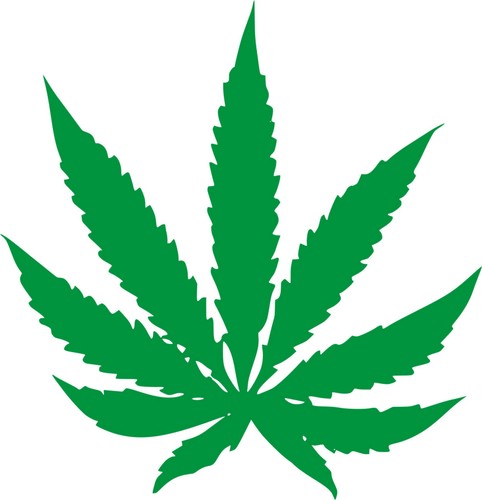Pegatina sticker cannabis - pegatina,