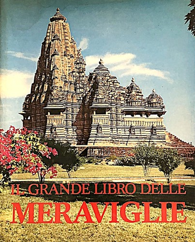 Grande libro delle - il,