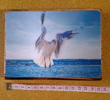 Portabevande Stender