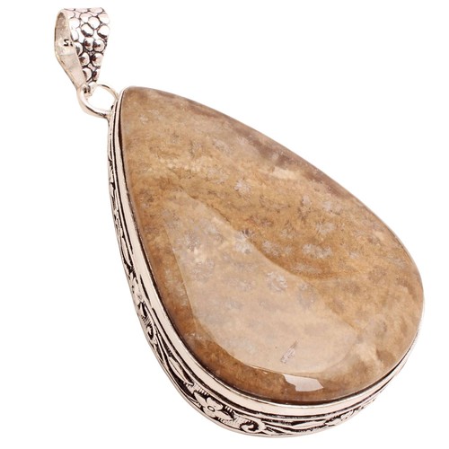 Fossil corallo gemma placcato - gemma,
