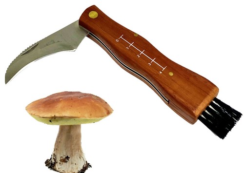 Coltello funghi lama - , ricurva