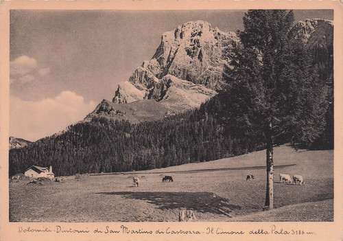 66b cartolina s - 42-66b), martino