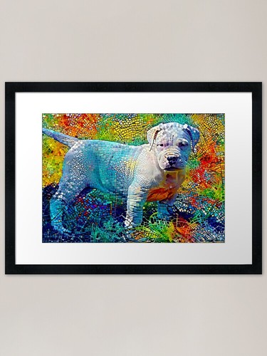 Dogo argentino cucciolo - dogo,