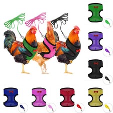 Pettorina Per Pollo Regolabile