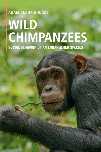 Wild chimpanzees social - chimpanzees:,