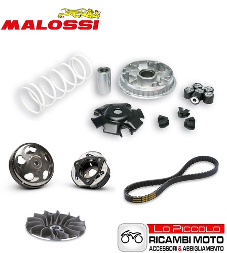 Kit malossi variatore - malossi,