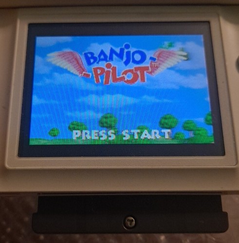 Banjo pilot nintendo game - banjo-pilot, boy