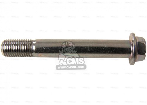 Bullone pinza freno anteriore - freno,