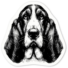 Adesivi decalcomania 'Bassett