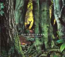 CD David Sylvian Manafon