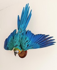 Taxidermy, Cabinet De