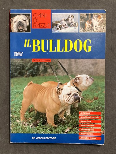Cantini bulldog de - bulldog,