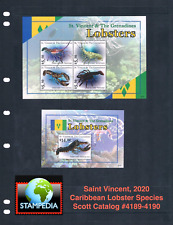 $27,00 Scott Value - 2020