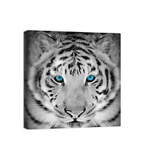 Canvashop Quadri moderni