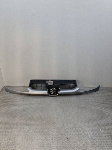 Griglia radiatore peugeot - peugeot, 206