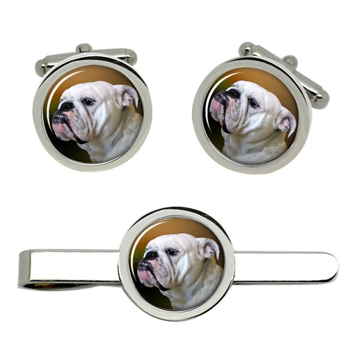Inglese bulldog gemelli - gemelli, e