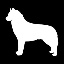 Adesivo Husky Vinile