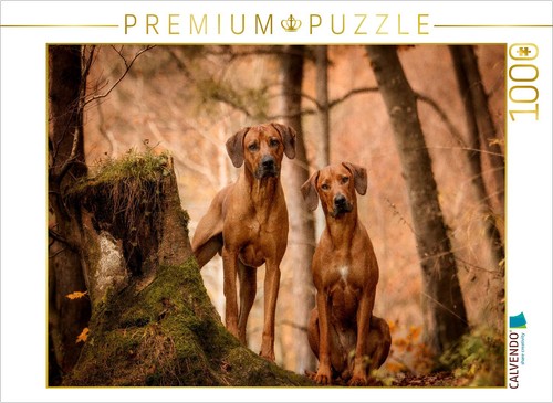 Calvendo puzzle ein - ein, aus