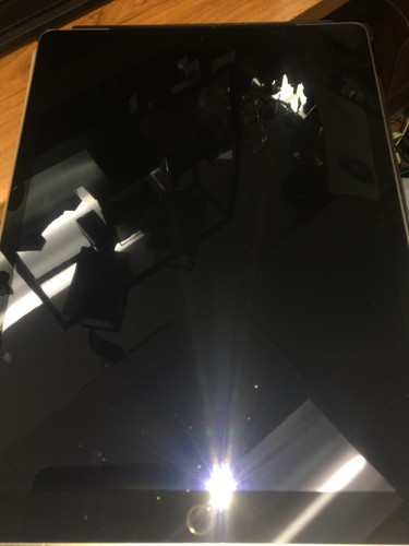 Ipad pro generazione 128 - 1a,