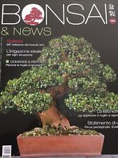 Bonsai & News 2021 186 luglio-agosto