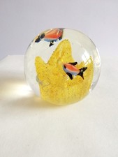 Fermacarte vetro sommerso Murano con pesci colorati acquario scoglio 6cm vintage