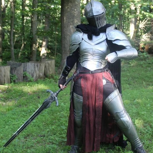 Lady elven warrior - warrior, steel