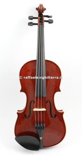 Stentor violino 1560