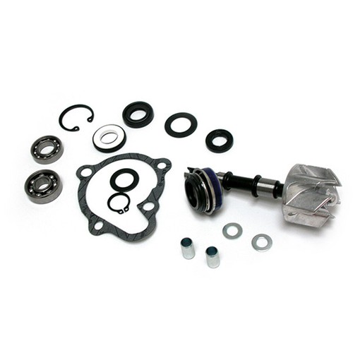 Kit revisione pompa acqua - revisione,