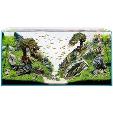 Oase ScaperLine – Acquari in