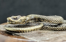 Serpente antico scultura - , in
