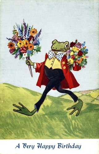 Rane antropomorfe frogs - antropomorfe,