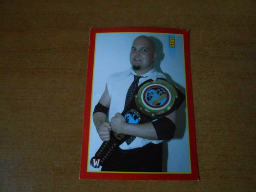 Figurina top the - figurina, wrestling