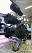 attrezzi palestra technogym Bicipiti Tricipiti Isotonic Pulley Panca Pesi Dischi