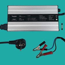 Caricabatterie LiFePO4 Batteria 12V 5A, 10A, 20A, 50A, 100A Charger...