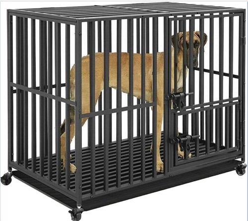Bingopaw gabbia per cani - gabbia,
