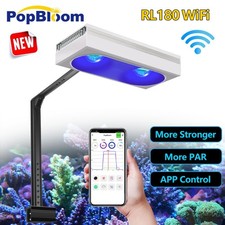 PopBloom RL180 acqua di mare