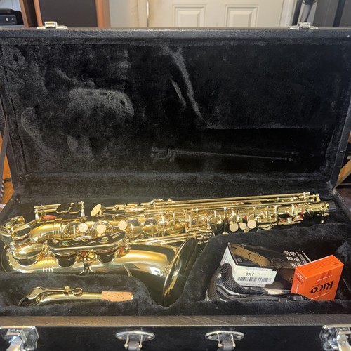 Sax alto in custodia - alto,