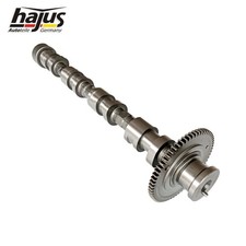 Scarico albero a camme Hajus