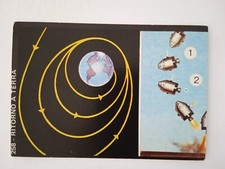 FIGURINA NATURA VIVA EDIZIONI