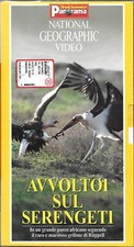 Avvoltoi Sul Serengeti - I