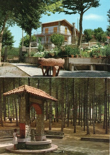Cartoline gambarie - 2,