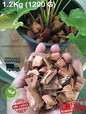 Coconut Husk Chips Orchidee