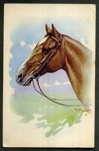 Illustratore piatti - piatti,
