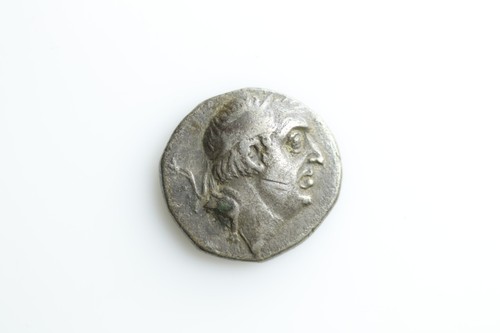 Ariobarzane filoromeo - ariobarzane,