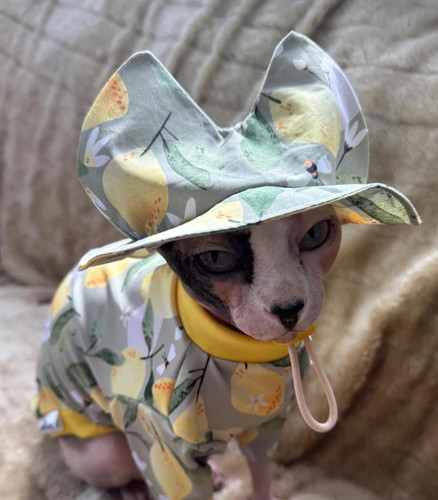 Cappello sole per - per, gatti