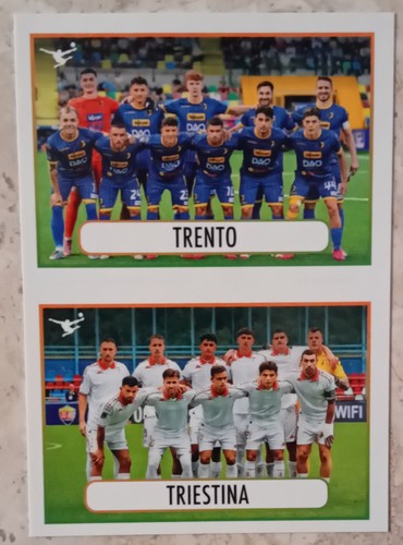 Figurina calciatori panini - figurina,