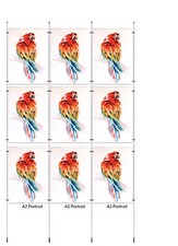 Kit filo A2 vetrina espositori