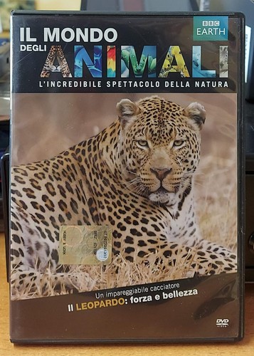 Leopardo forza bellezza - leopardo,