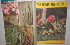 VECCHIO QUADERNO SCOLASTICO NEL MONDO DELLA NATURA LE FOGLIE DI SCUOLA MOTTA E