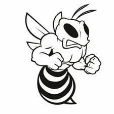 Kit 2 adesivi tuning APE 05 set auto moto casco custom decalcomanie prespaziato